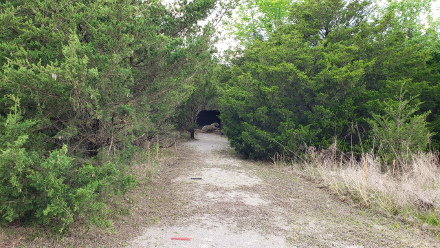 Hopefully you'll never face a mountain lion, but if you did - at least you can practice that skill here